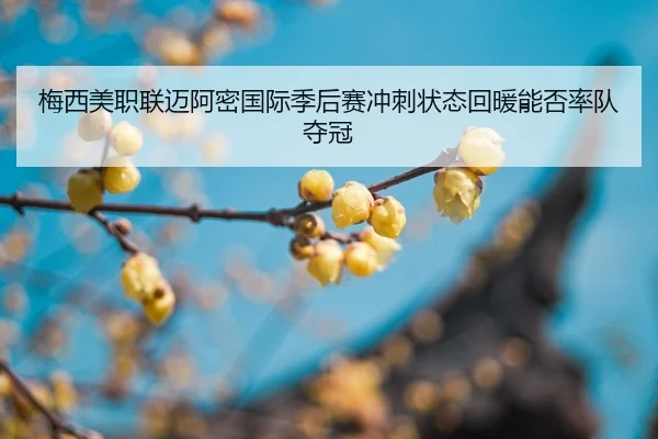 mei-xi-mei-zhi-lian-mai-a-mi-guo-ji-ji-hou-sai-chong-ci-zhuang-tai-hui-nuan-neng-fou-shuai-dui-duo-guan-2-473.jpg