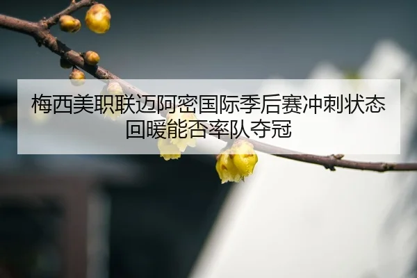 mei-xi-mei-zhi-lian-mai-a-mi-guo-ji-ji-hou-sai-chong-ci-zhuang-tai-hui-nuan-neng-fou-shuai-dui-duo-guan-3-670.jpg