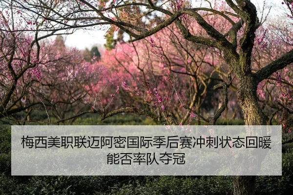 mei-xi-mei-zhi-lian-mai-a-mi-guo-ji-ji-hou-sai-chong-ci-zhuang-tai-hui-nuan-neng-fou-shuai-dui-duo-guan-1-845.jpg