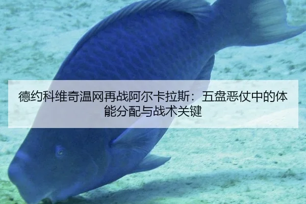 de-yue-ke-wei-qi-wen-wang-zai-zhan-a-er-ka-la-si-wu-pan-e-zhang-zhong-de-ti-neng-fen-pei-yu-zhan-shu-guan-jian-1-328.jpg